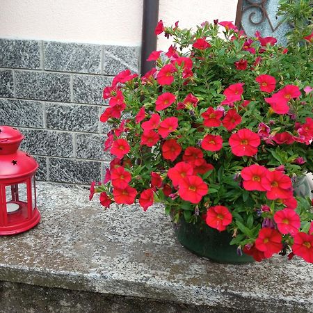 B&B L'Ortensia Vignolo Εξωτερικό φωτογραφία